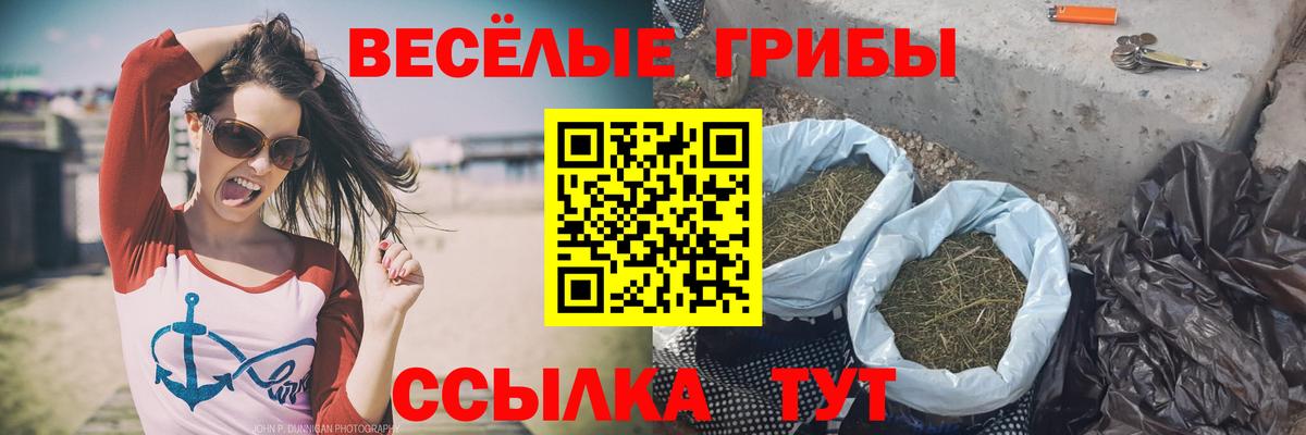 Псилоцибиновые грибы Cubensis  Вход с VPN  Псилоцибиновые грибы прущие грибы  Якутск 